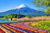 From Tokyo: Mount Fuji Private Customizable Tour with Guide