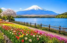From Tokyo: Mount Fuji Private Customizable Tour with Guide