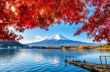 From Tokyo: Mount Fuji Private Customizable Tour with Guide