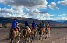 Marrakech Agafay Desert Dinner Show and Quad bike and camel ride