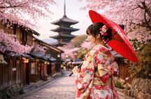 Kyoto Private Tour | Full-Day Highlights by English Guide & van