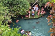 Zanzibar Hidden salam Cave Turtle Swim;Jozani Forest & Spice Farm