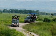 3-Day Guided Safari Tour in Chitwan National Park in Nepal