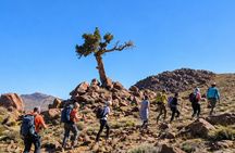 Saghro Mountains Trekking & Berber Experience