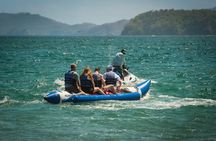 ATV or UTV Adventure with Banana Boat Ride to Conchal beach