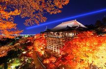 Kyoto Night Tour with Seasonal Illuminations (only 1 group a day)