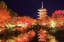 Kyoto Night Tour with Seasonal Illuminations (only 1 group a day)