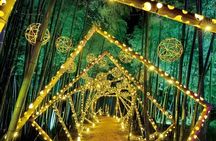 Kyoto Night Tour with Seasonal Illuminations (only 1 group a day)