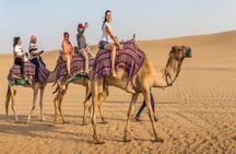 VIP Red Dune Safari, Pick/Drop, Camel Ride,BBQ Dinner & Quad Bike