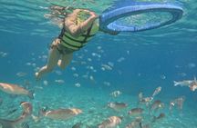 Nha Trang Half-Day Tour with Snorkeling and Seafoods