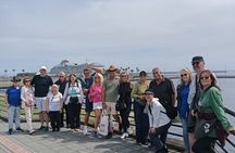 Kagoshima Cherry Blossom, Volcano & Wagyu Lunch Cruise Excursion