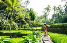 Bali Private Monkey Forest with Waterfall and Temple Tour