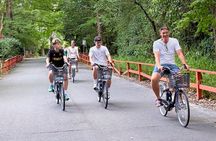 Kyoto: Fushimi Inari, Hidden Gems & Local Culture by E-Bike