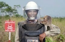 Siem Reap: Village Tour with HeroRATs & Lotus Silk Farm