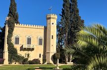Athens: Athens Wine Tasting and Wine tour at with Castle Visit
