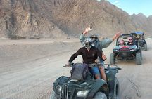 Quad & Camel Ride & Bedouin Dinner BBQ Night Show in Desert Sharm