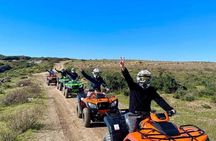 Quad Bike Adventure Experience in Tangier