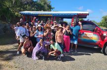 St. Thomas Shopping, Sightseeing & Beach Tour with Local Guide