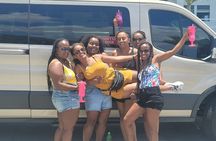 St. Thomas Shopping, Sightseeing & Beach Tour with Local Guide