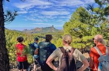 Full day Hiking Gran Canaria Peaks of Gran Canaria