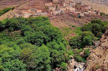 Private 3 Valleys Day Trip from Marrakech: Ourika & Asni
