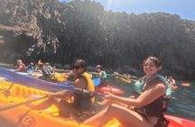 Tenerife Kayak & SnorkelTour + Dolphins and Turtles & Free Photos