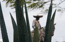 Tour to Lake Chapala, MAGIC TOWN of Ajijic from Guadalajara