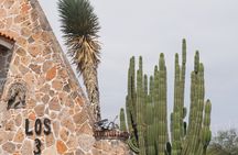 Tour to Lake Chapala, MAGIC TOWN of Ajijic from Guadalajara