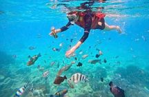 Nha Trang Half-Day Tour with Snorkeling and Seafoods