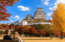 Himeji Castle, Arima Onsen & Mt. Rokko: 1-Day Bus Tour from Osaka
