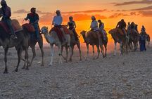 Marrakech Desert Premium Quad, Camel, Pool, Dinner and Show