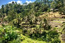 Ubud Off the Beaten Path Private Tour