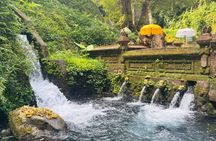 Ubud Off the Beaten Path Private Tour