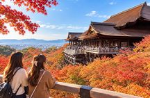 1 Day Kyoto UNESCO World Heritage Sites Bus Tour from Osaka/Kyoto