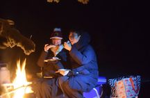 Rovaniemi: Small Group Northern Lights Hunting