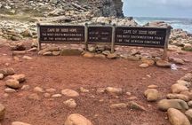 Private Cape Peninsula & Boulders Beach Penguin Tour Cape Town