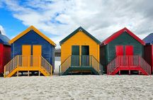 Private Cape Peninsula & Boulders Beach Penguin Tour Cape Town