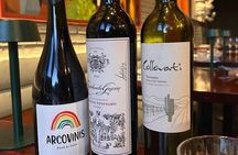Argentine Wine Experience Aperitivo Three Glasses and Tapas