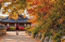 Gyeongju: Small Group Tour with Busan & Gyeongju Pick-up