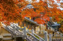 Gyeongju: Small Group Tour with Busan & Gyeongju Pick-up