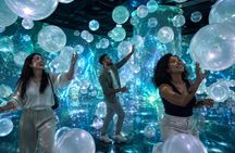 Dubai Top Attractions Tickets & Private Transfers: 1–5 Choices