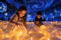 Dubai Top Attractions Tickets & Private Transfers: 1–5 Choices