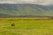 5 Day Serengeti and Ngorongoro Unforgettable Great Safari
