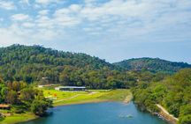 Private Express Charter from Guadalajara (Pet-Friendly)