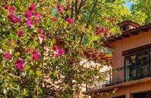 Private Express Charter from Guadalajara (Pet-Friendly)