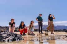 Lanzarote Highlights VIP Guided Tour from Fuerteventura