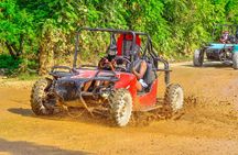 Buggy Tour through Paradise