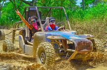 Buggy Tour through Paradise