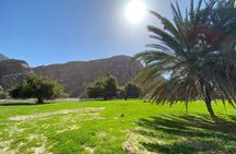 Hidden Oasis Half-Day Guided Hike in Ras Al Khaimah
