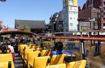 Tokyo Sky Hop on Hop off Sightseeing Bus